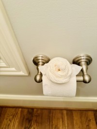 a roll of toilet paper with a toilet paper rose art on top